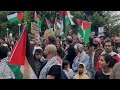 Rally in support of Palestinians held in Sydney&#39;s Hyde Park