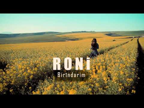 RONi - Birindarim  (  sürü fılm müziği -akustik )