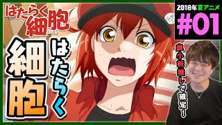 はたらく細胞 同時視聴