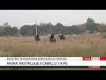 🚨 DESESPERADA BÚSQUEDA DE AGOSTINA VEGA: RASTRILLAJE A PIE, A CABALLO Y CON PERROS RASTREADORES