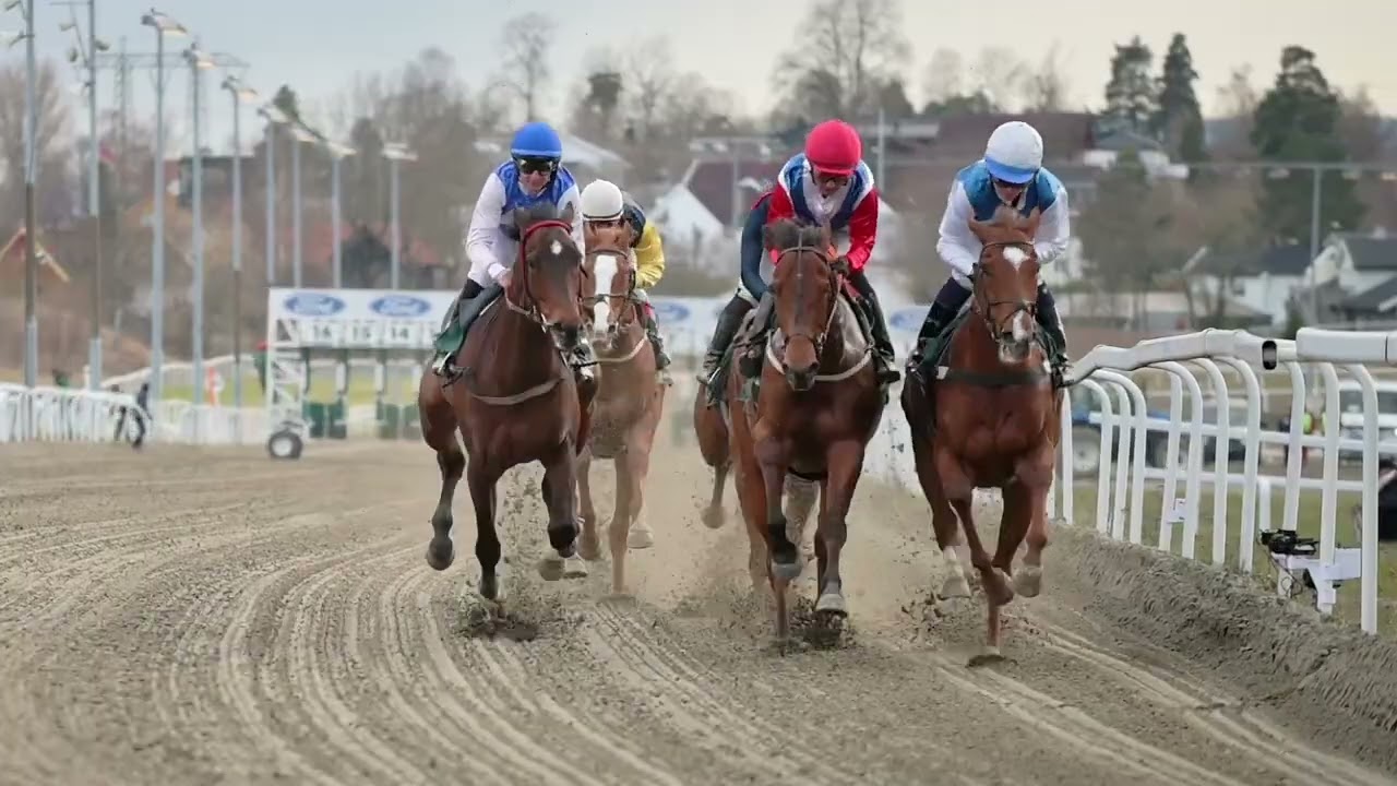 Øvrevoll Galoppbane / 25.04.2024 / 17:30 / Race #5 / 1600Dt / Irish Thoroughbred Marketing Handicap