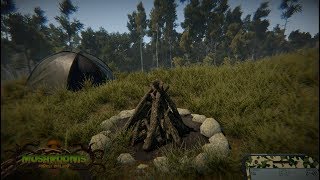 Mushrooms: Forest Walker Game Trailer screenshot 5