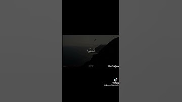 سوره الزخرف  محمود الشحات انور ♥️ تلاوه خاشعه
