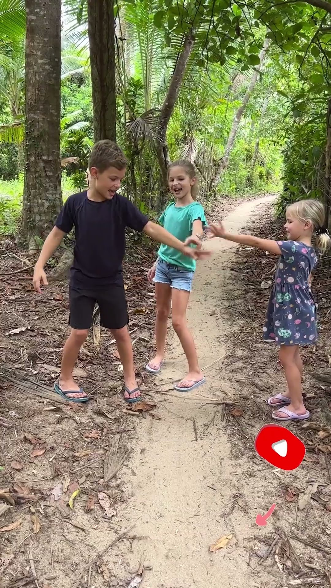 hokey pokey #kidssong