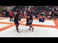 Nick bilton 201819 bjj highlights