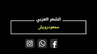 قصيدة عن الرزق | بقلم الشاعر سمعو درويش موسيقى المطر