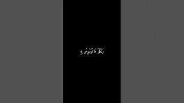  سورة ق 🎧#المنشاوي #قرآن #سورة_ق #محمد_صديق_المنشاوي #قران_كريم #آيات #تلاوات #تلاوة_خاشعة#quran