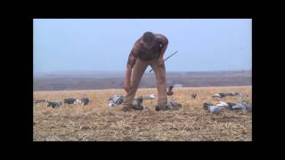 Epic SNM Pigeon Hunt Teaser