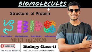 Structure of Protein : Primary , Secondary , tertiary and Quaternary structure