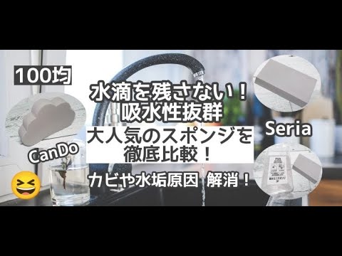 100均お掃除item Cando Seria購入品 おすすめしたい 吸水スポンジを徹底比較 吸水性抜群 Youtube