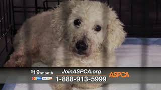 ASPCA Ad TV 2019, 'The Gift of Life'...