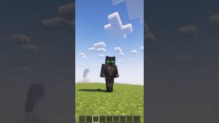 Y'a combien d'items en 1.21.5 ? #minecraft