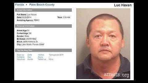 Luc Havan: the man who killed Jaco Pastorius.