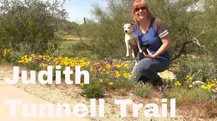 Judith Tunnell Trail - Best Hikes in Phoenix Series