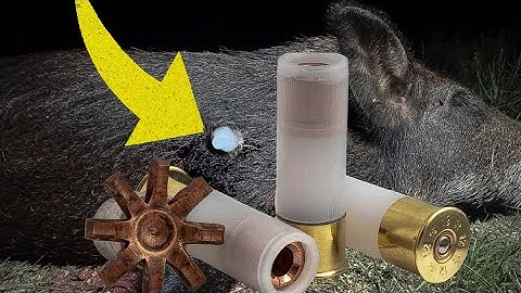 12 Gauge Slugs vs. Hog Armor: Ik kan de resultaten niet geloven