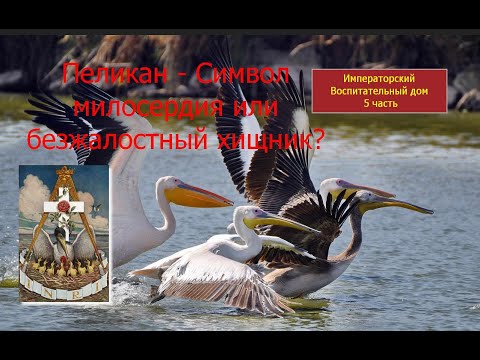 Воспитательный дом.5часть. Пеликан - символ милосердия? Зачем Горбачев продвигал символ "Пеликана"?