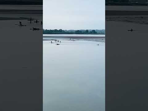 Severn Bore #severnbore #gloucestershire #travel #surf