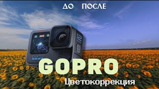 GOPRO best COLOR CORRECTION + preset | Лучшая цветокоррекция для вашей GOPRO