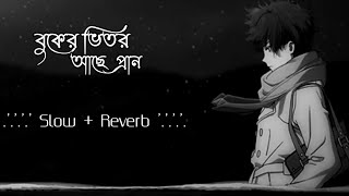 বুকের ভিতর আছে প্রান, তার ভিতরে মেশিনগান ✌️Slow + Reverb