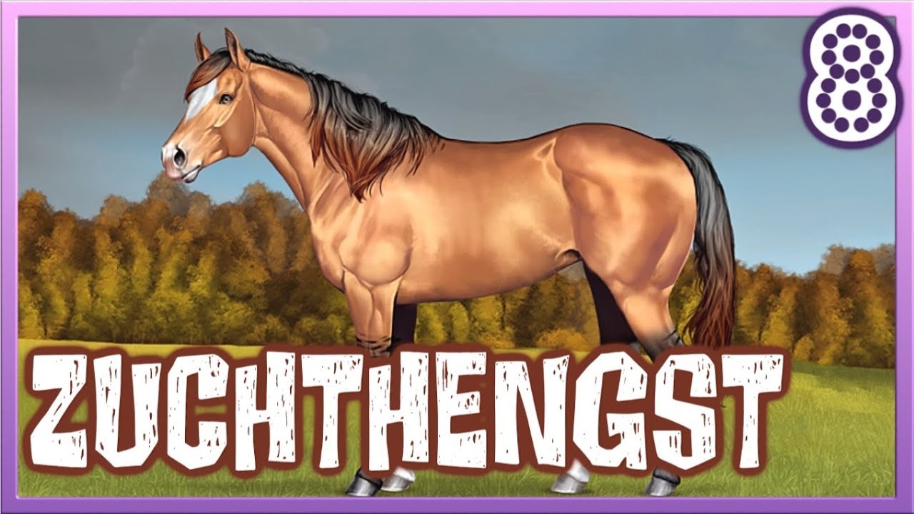 Ein ZUCHTHENGST für UNS 🐴? Morning Dust Ranch | Let's Play #8 [DEUTSCH ...