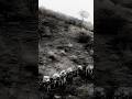 Spanish Miners Massacred by the Apache #history #arizonahiking #superstitionmountains