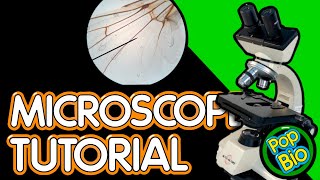 Celebrity How To Use a Microscope Tutorial Wealth