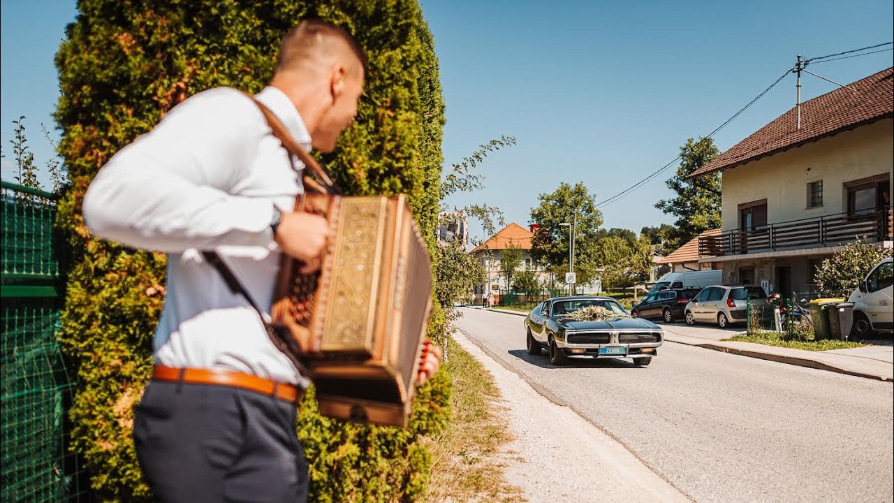 Mix domacih 2 (mix slovenske narodno zabavne glasbe)