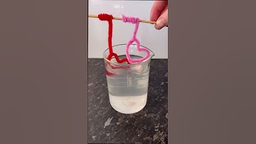 Grow your own crystals overnight! #crystal #science #experiment