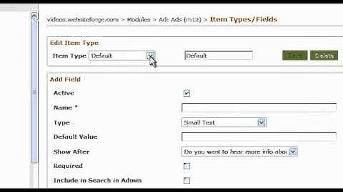 Ad Module Create New Item Type - Websiteforge Ecommerce Website