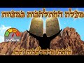 הזהרו מהתלהבות יתר - במדבר התשפ"ה