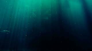 Wonki - Deep Ocean