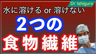 食物繊維は水溶性？不溶性？