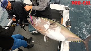 1st Bluefin Tuna on my Boat | Experience of a Lifetime!