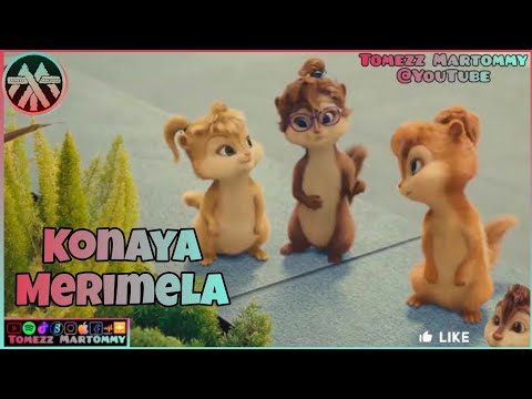 Konaya Merimela Tomezz Martommy Chipmunks Chipettes