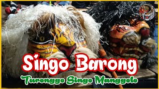 Singo Barong Turonggo Singo Manggolo live Tunggoro Getas Bawang Batang