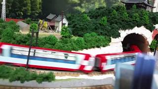 (鉄道模型 Nゲージ)アルプスの氷河特急