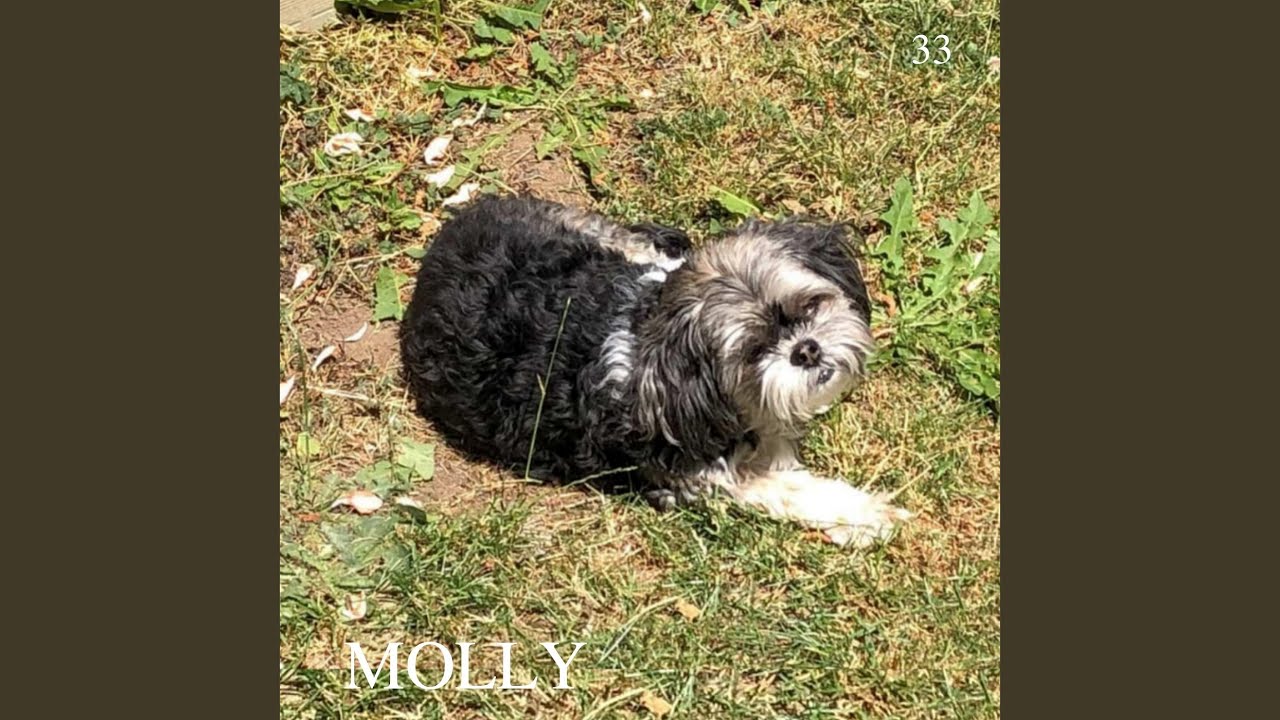 Watch Molly on YouTube Watch Molly on YouTube
