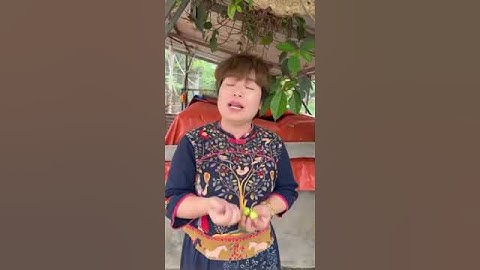 “Mất ngủ? Đun quả sung uống thử xem!”