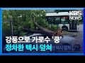 강풍으로 가로수 ‘쿵’…정차한 택시 덮쳐 / KBS  2024.05.11.