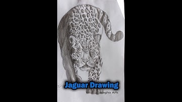 How to Draw a Jaguar Step by Step | Easy Jaguar Drawing Tutorial