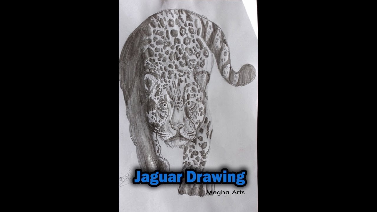 How to Draw a Jaguar Step by Step | Easy Jaguar Drawing Tutorial