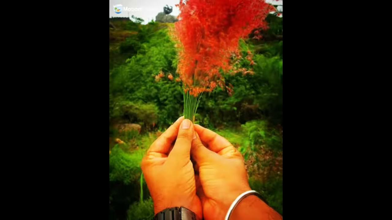 Laali Laali flute version whatsapp status