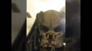 Predator elder costume