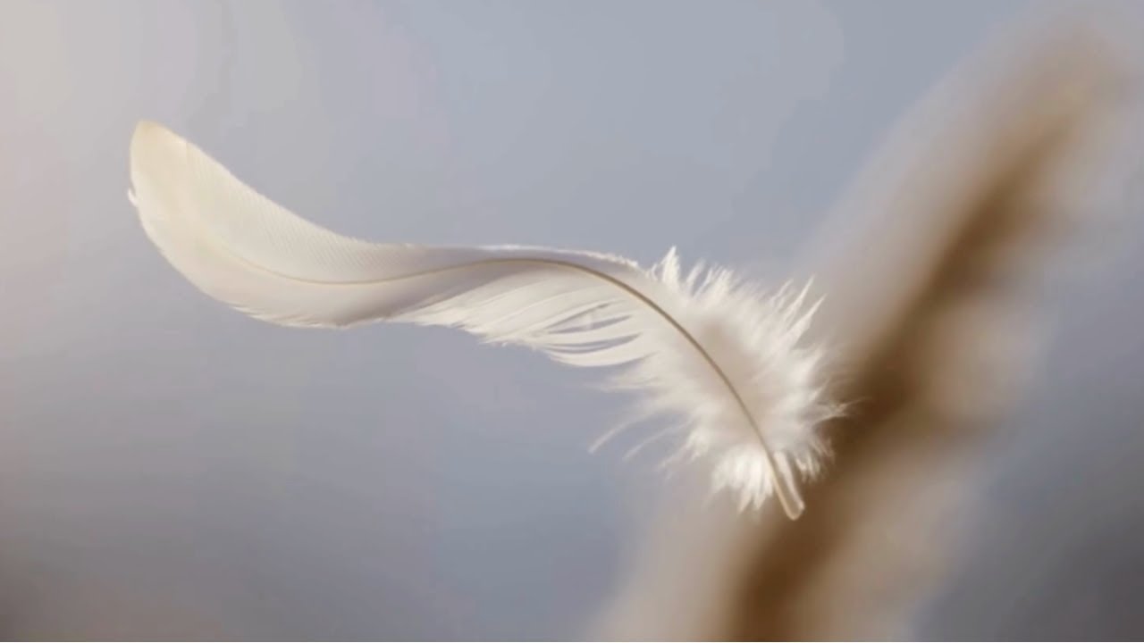 Soft Breeze – Elegant Instrumental Bossa Nova | Calm, Minimal & Cinematic