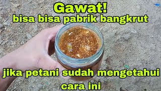 GAWAT! bisa bisa babrik racun hama bangkrut jika petani sudah tau cara menggunakan bahan ini