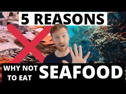 5 Reasons why NOT to eat SEAFOOD! Why seafood should not be part of your diet!