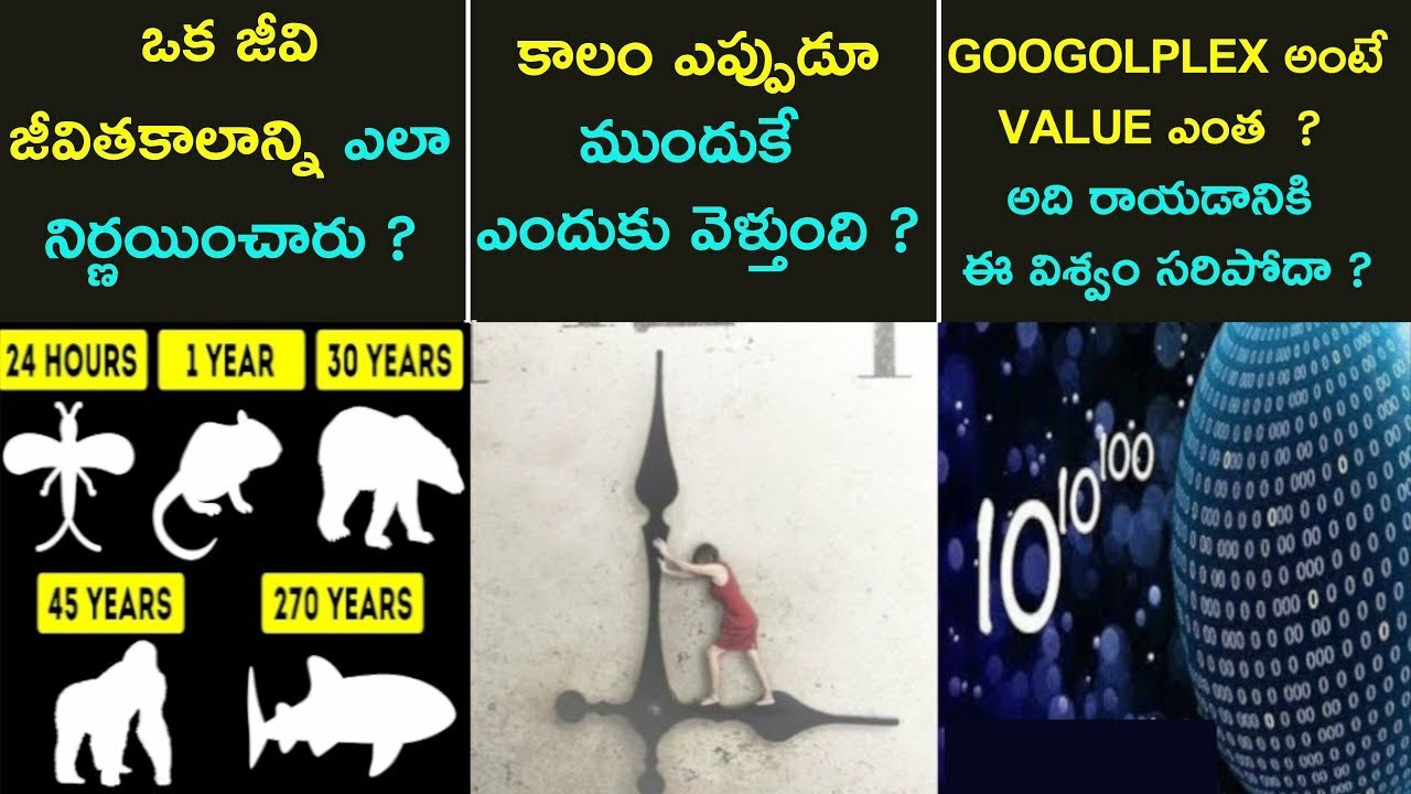 Ask Common Man Episode-5 | Most Interesting Questions and Answers in Telugu | COMMON MAN TELUGU