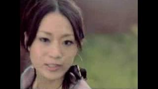 Parallel Hearts PV