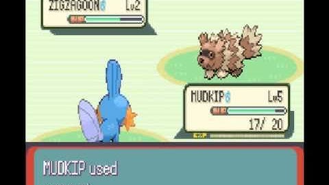 mudkip only run part 1: getting inturupted by a stupid phone