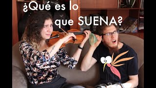 11 Razones por las que tu instrumento puede tener un ruido | Violín Viola Cello Contrabajo